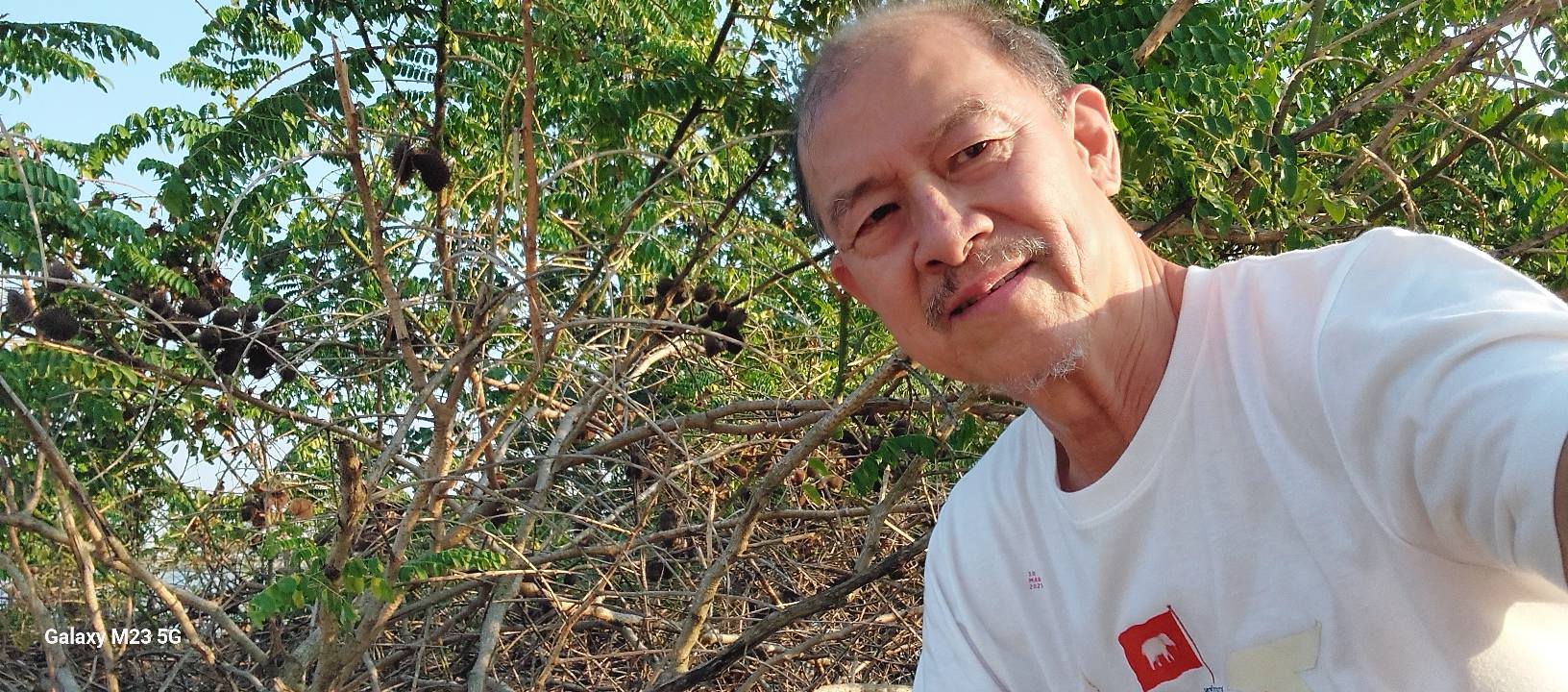 20260404_3 หรือว่าจะนอนใน #ดงสวาด นี้  InTheSwatBush