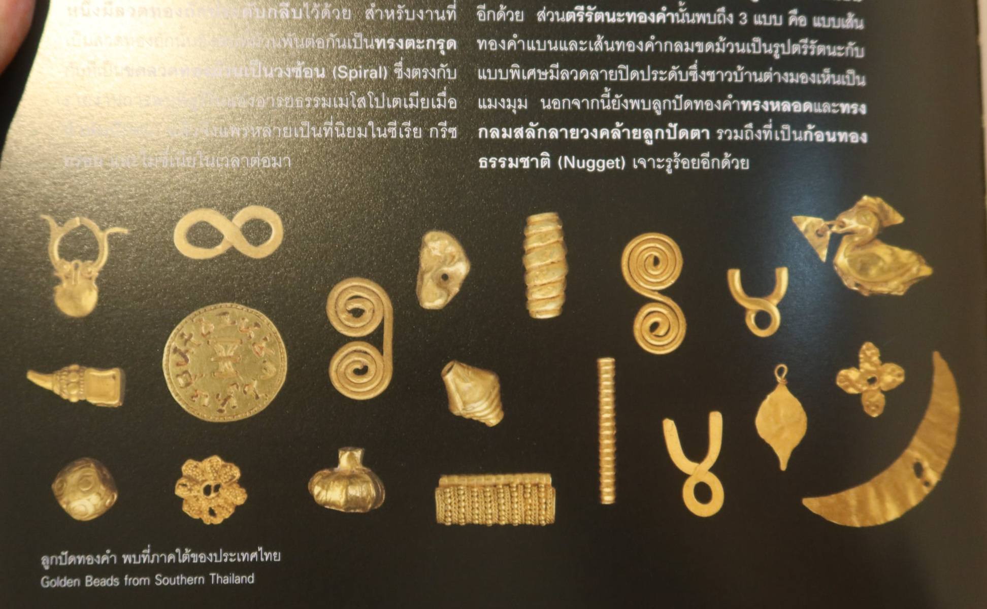 1305036