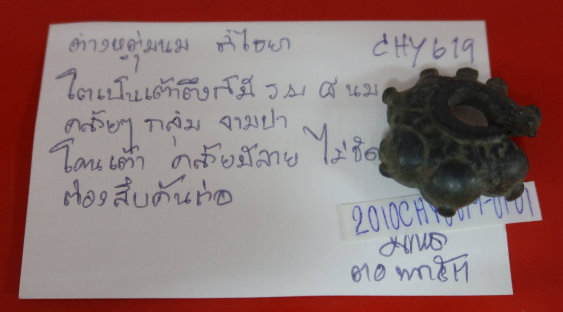 29050401