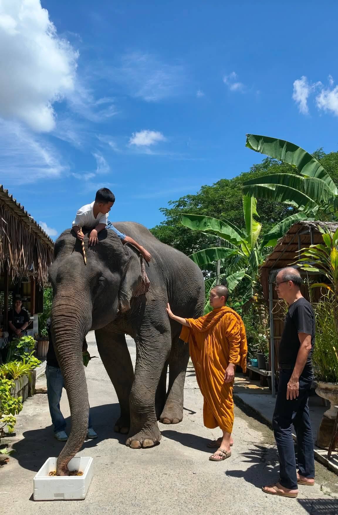 20260615_2 ตกลงงานนี้งานช้าง  AnElephant